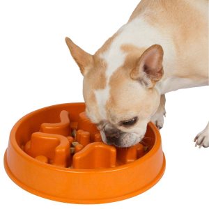 Simply Pets Online A-Maze-In-A-Bowl Slow Feeder