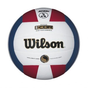 Wilson I-COR High Performance Indoor Volleyball